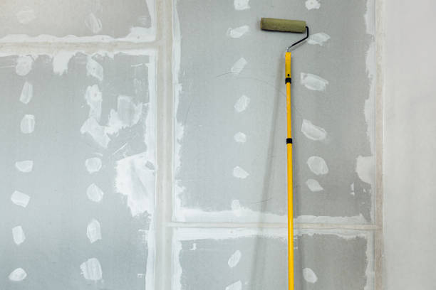 Professional Dry wall and painting in Castalia, OH